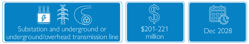 Icons for technology, cost and timing for this RIT-T